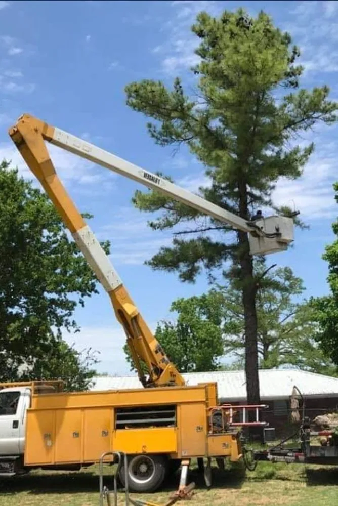 Top-rated lawn mowing service for beautiful yards in Springtown, TX by 4 B's Tree And Lawn Service