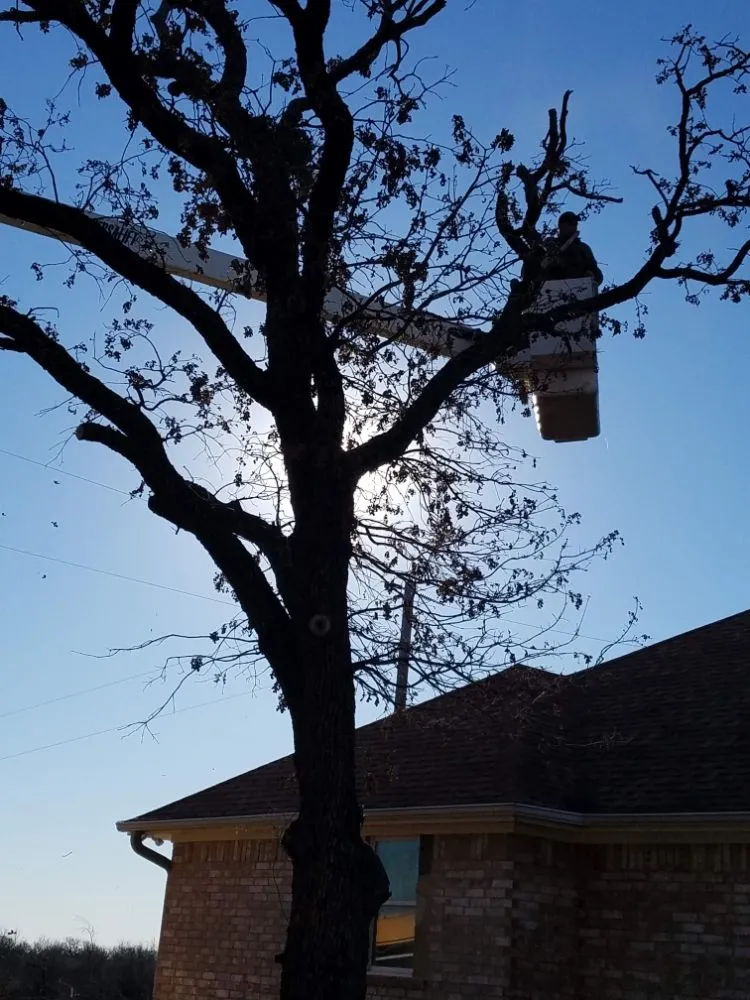 Custom garden landscaping in Springtown, TX - 4 B's Tree And Lawn Service