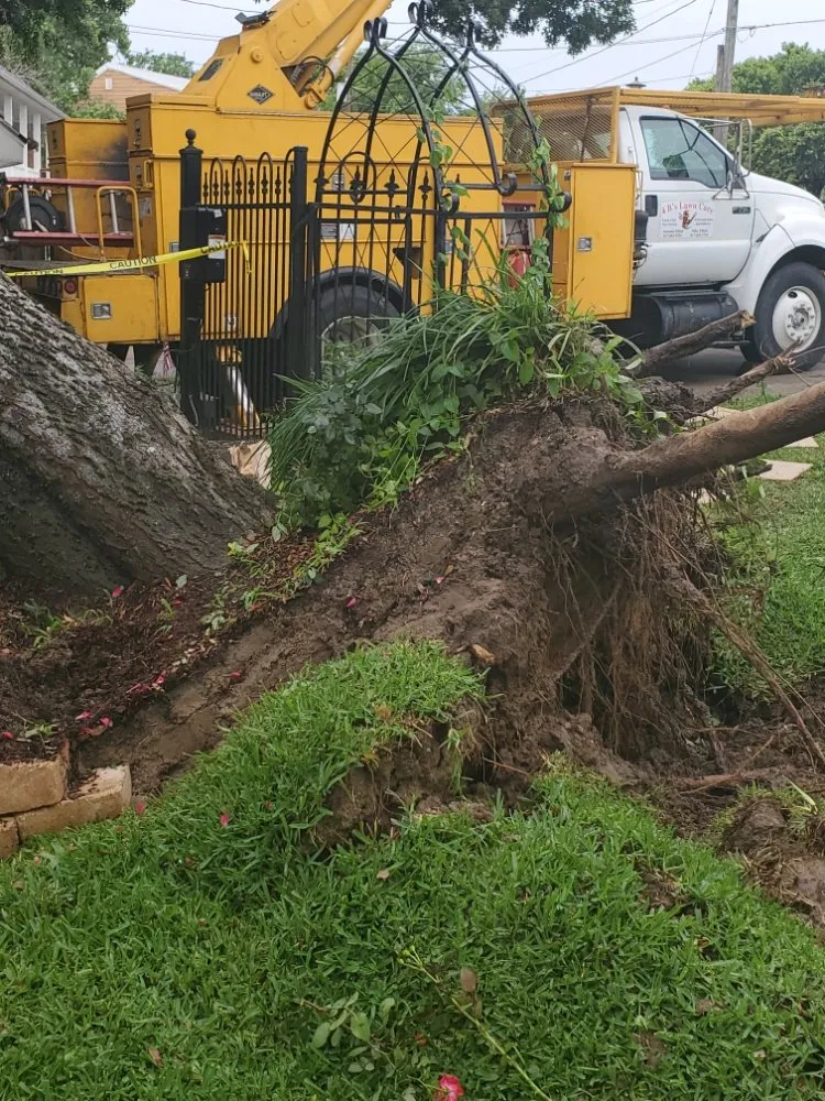 Reliable outdoor landscaping in Springtown, TX by 4 B's Tree And Lawn Service