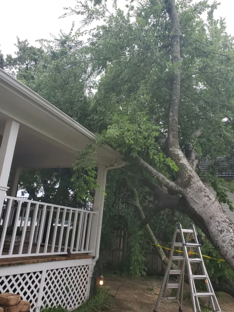 Reliable lawn care service for outdoor upgrades across Springtown, TX - 4 B's Tree And Lawn Service