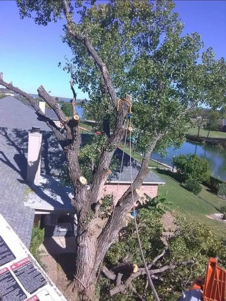 Expert landscaping services in Springtown, TX - 4 B's Tree And Lawn Service