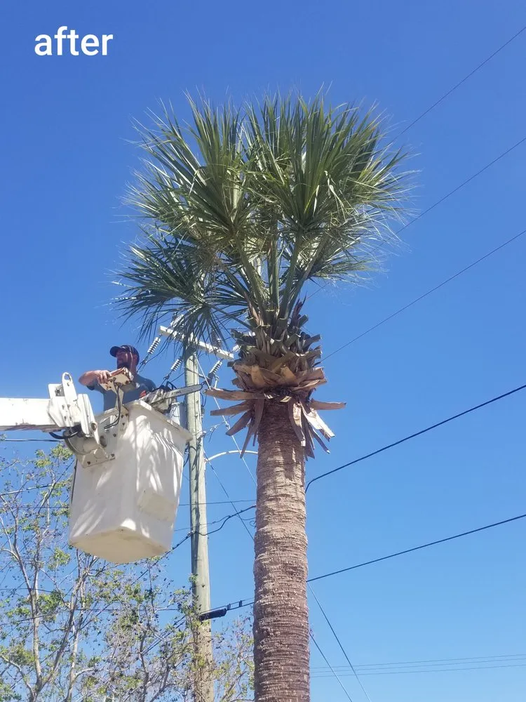 Local yard maintenance experts serving Hastings, FL - 4-C's Services