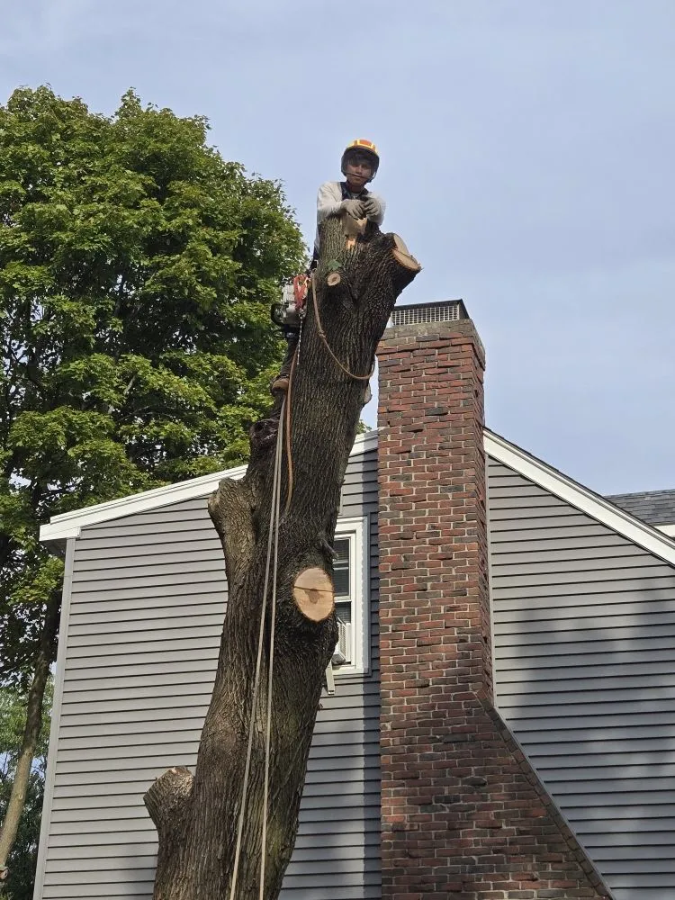 Reliable landscaping services in Lynn, MA - 4 Daughters Landscape