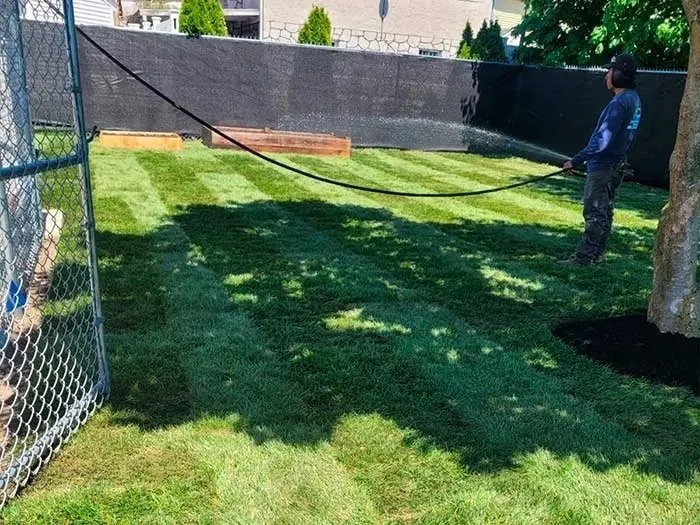 Local landscape design for outdoor upgrades across Lynn, MA - 4 Daughters Landscape