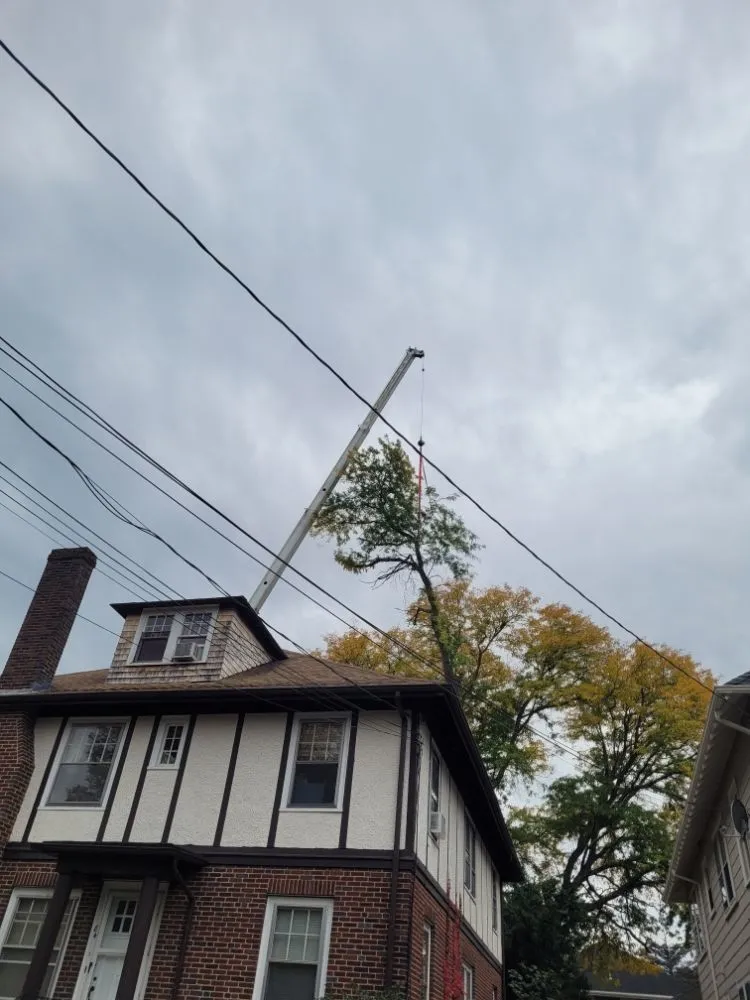 Expert lawn mowing service near you across Lynn, MA - 4 Daughters Landscape