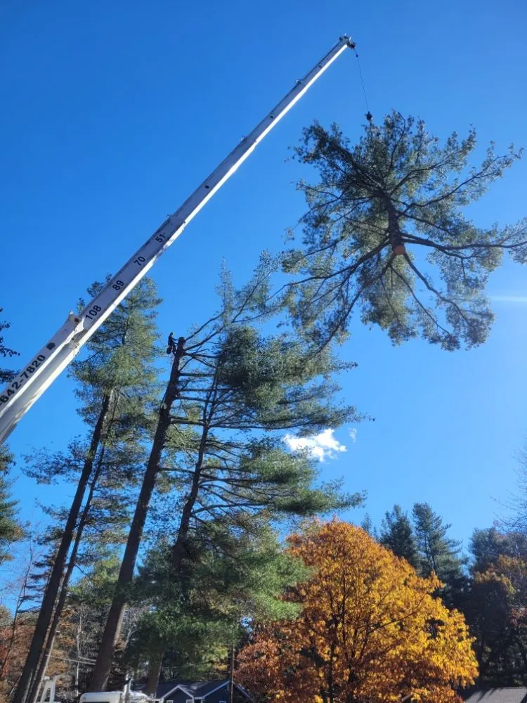 Custom landscape design experts serving Lynn, MA - 4 Daughters Landscape