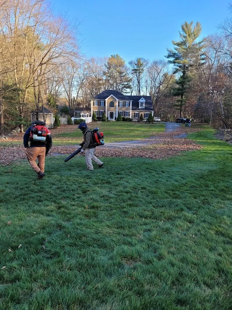 Top-rated outdoor landscaping for year-round maintenance in Lynn, MA by 4 Daughters Landscape