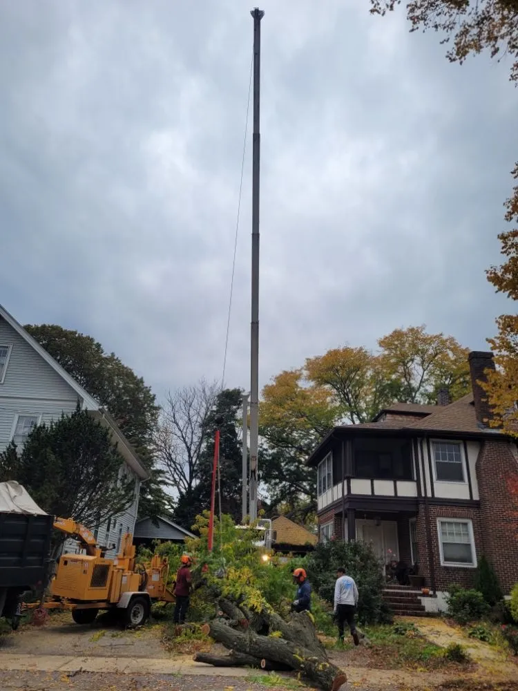 Trusted landscaping services in Lynn, MA by 4 Daughters Landscape