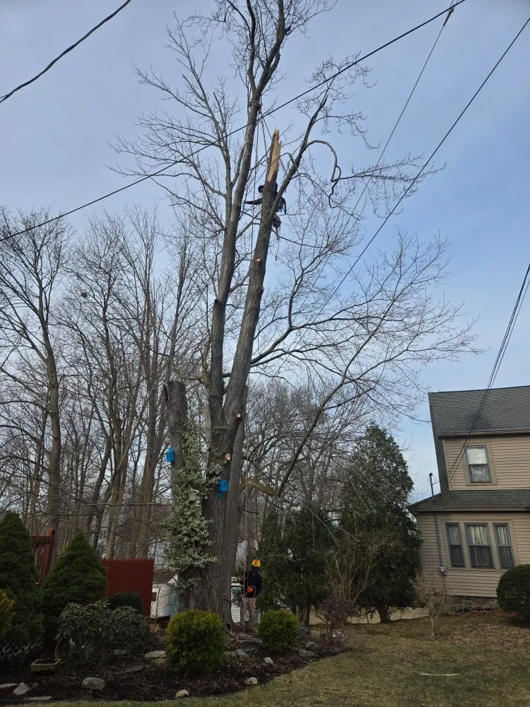 Reliable yard maintenance near you in Lynn, MA by 4 Daughters Landscape