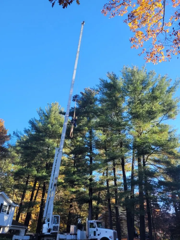 Trusted lawn mowing service experts serving Lynn, MA - 4 Daughters Landscape