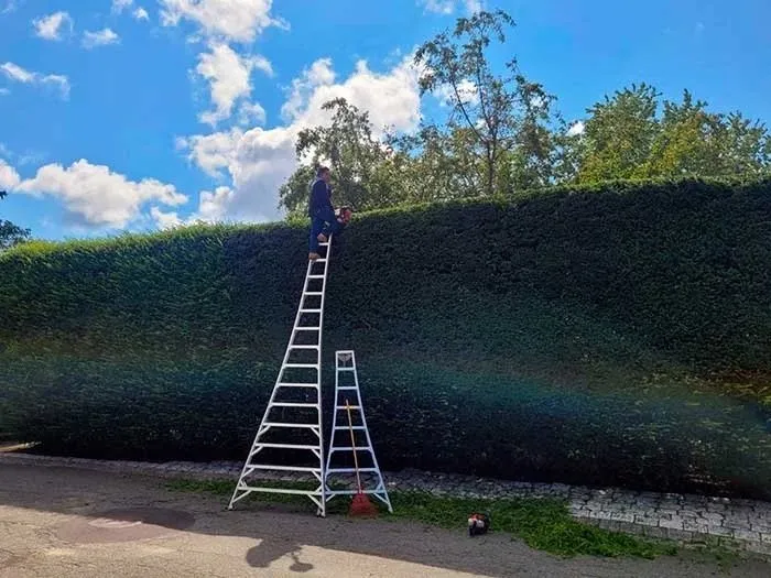 Professional yard cleanup service experts serving Lynn, MA - 4 Daughters Landscape