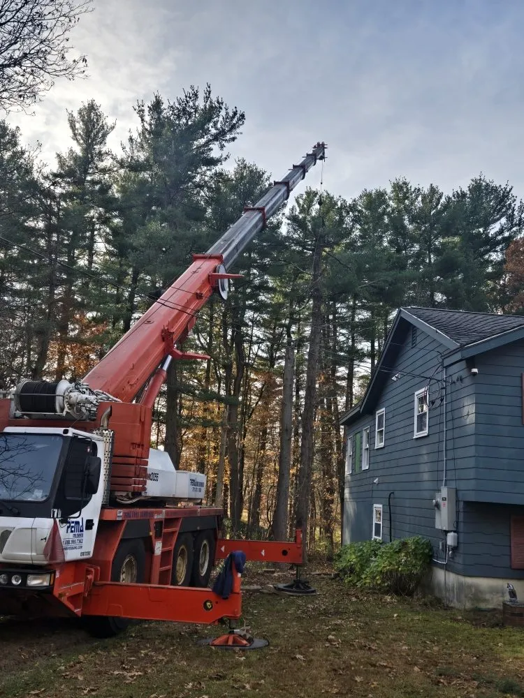 Top-rated landscape design in Lynn, MA - 4 Daughters Landscape