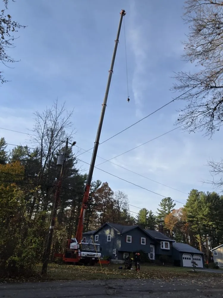 Custom yard cleanup service for year-round maintenance in Lynn, MA by 4 Daughters Landscape