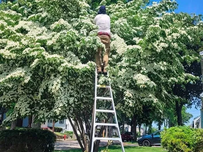 Expert landscape installation experts serving Lynn, MA - 4 Daughters Landscape