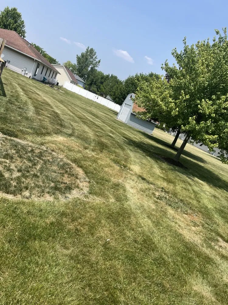 Custom yard cleanup service experts serving Pontiac, IL - 4 Elements Lawn To Landscaping