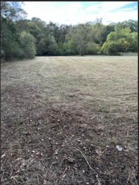 Local landscape installation for beautiful yards in Nashville, TN by 4 Ever Green