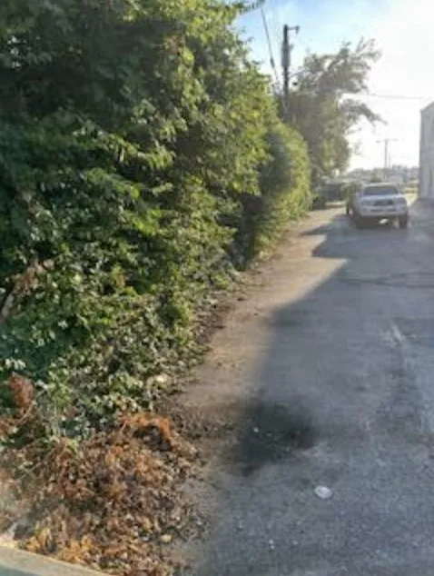 Professional lawn care service in Nashville, TN - 4 Ever Green