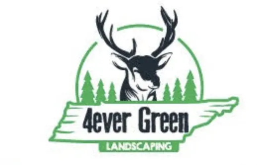 Expert residential landscaping in Nashville, TN - 4 Ever Green