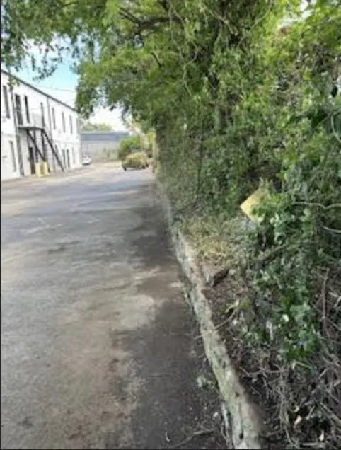 Expert residential landscaping in Nashville, TN by 4 Ever Green