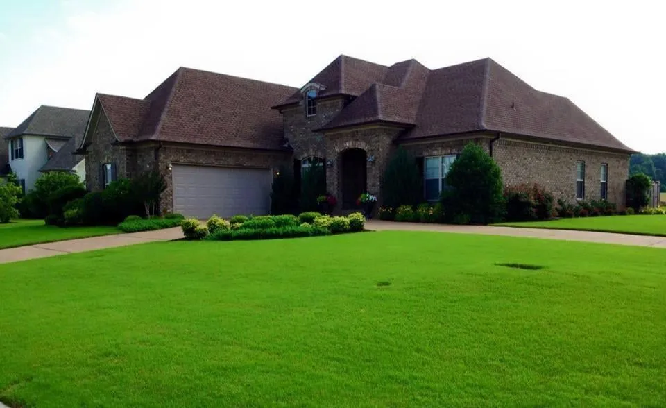 Top-rated yard cleanup service in Jackson, TN - 4-EverGreen