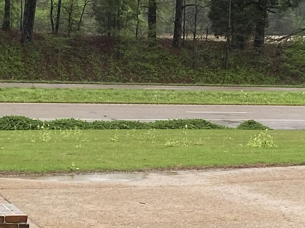 Affordable landscape design for residential properties across Jackson, TN - 4-EverGreen