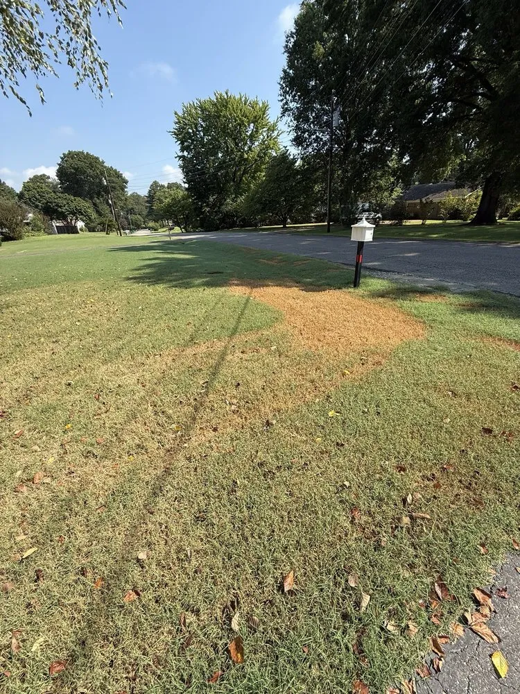 Expert landscaping services in Jackson, TN by 4-EverGreen