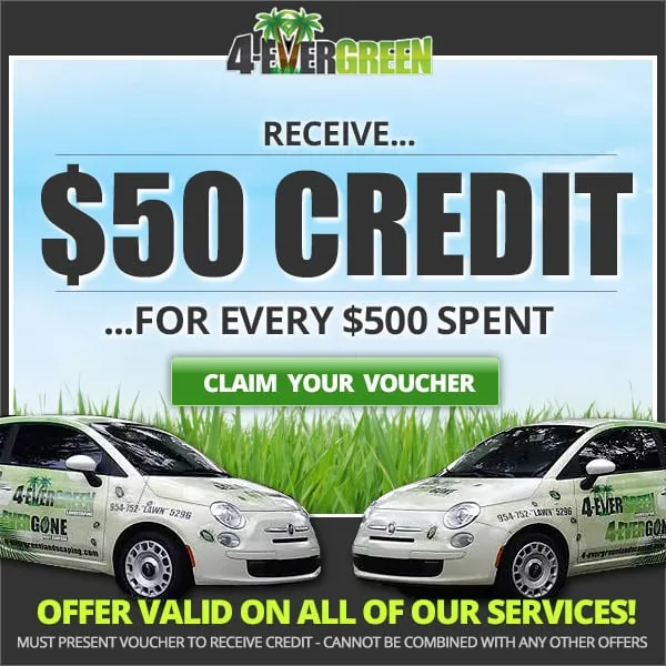 Affordable yard maintenance experts serving Parkland, FL - 4-Evergreen Landscaping