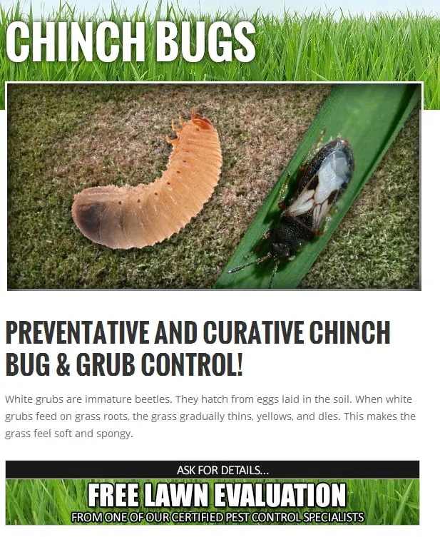 Top-rated landscape installation for homes in Parkland, FL by 4-Evergreen Landscaping