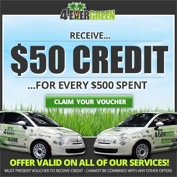 Local yard cleanup service in Parkland, FL - 4-Evergreen Landscaping