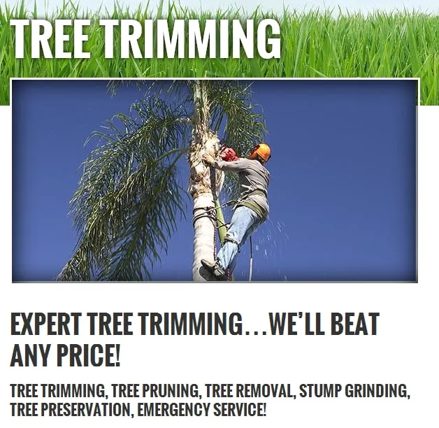 Expert residential landscaping with custom design across Parkland, FL - 4-Evergreen Landscaping