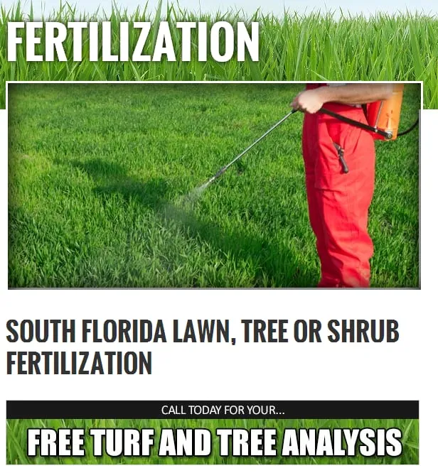 Custom yard cleanup service in Parkland, FL by 4-Evergreen Landscaping