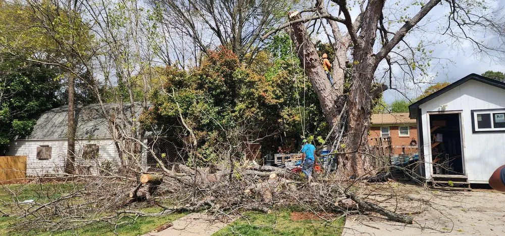 Top-rated garden landscaping in Charlotte, NC - 4 Evergreen Lawn Care