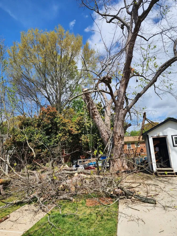 Trusted landscaping services in Charlotte, NC - 4 Evergreen Lawn Care