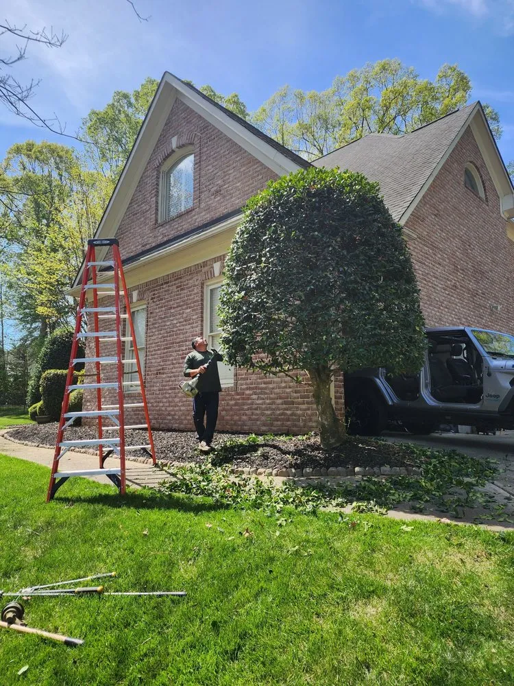 Top-rated landscaping services for year-round maintenance in Charlotte, NC by 4 Evergreen Lawn Care