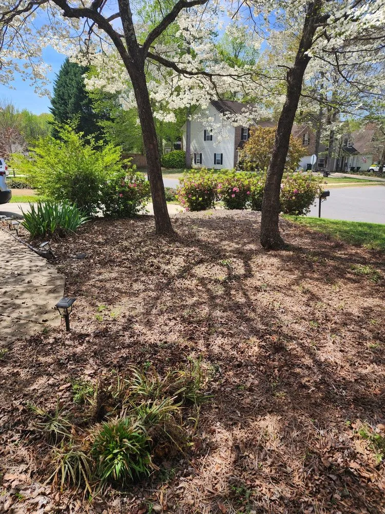 Expert lawn mowing service in Charlotte, NC - 4 Evergreen Lawn Care