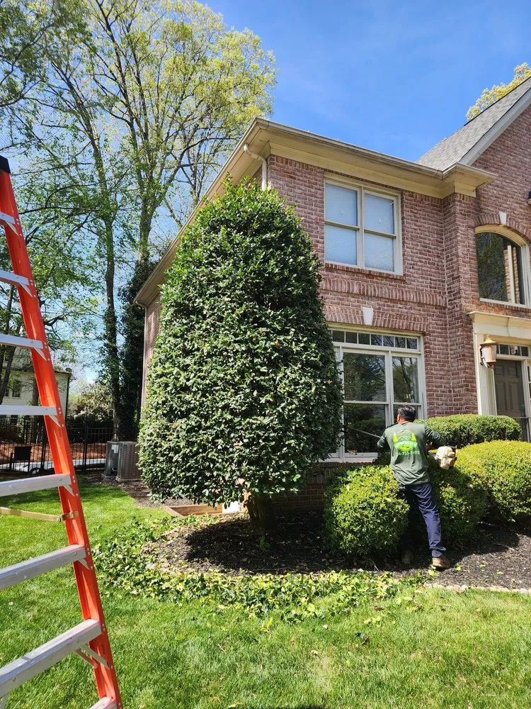 Local yard cleanup service for homes in Charlotte, NC by 4 Evergreen Lawn Care