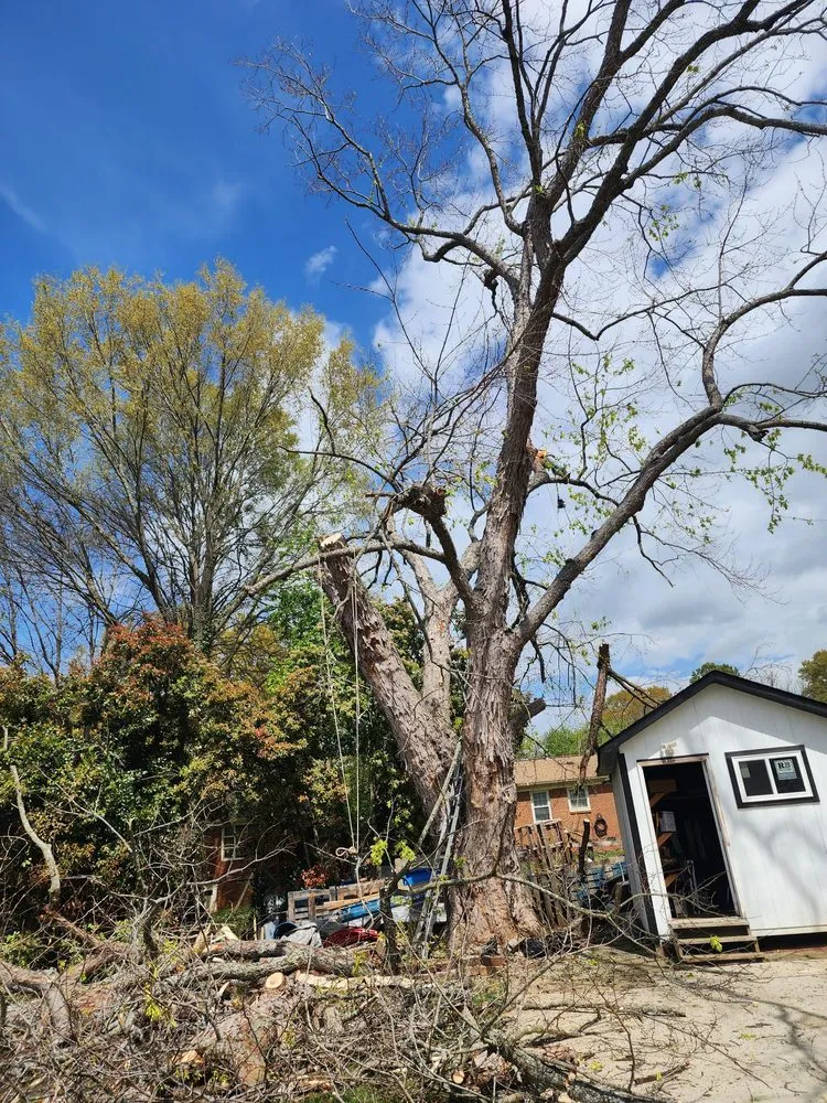 Professional outdoor landscaping in Charlotte, NC - 4 Evergreen Lawn Care