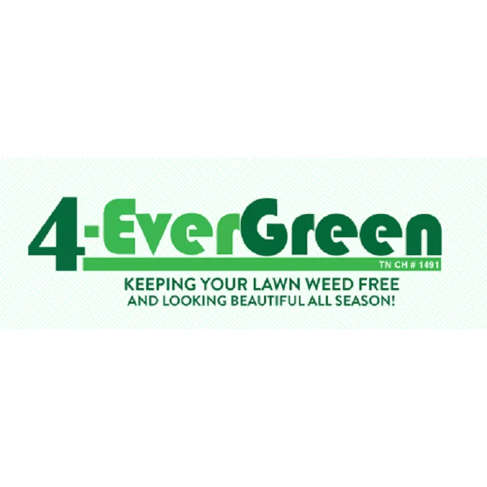 Affordable lawn care service in Ridgely, TN by 4-Evergreen Lawn Service