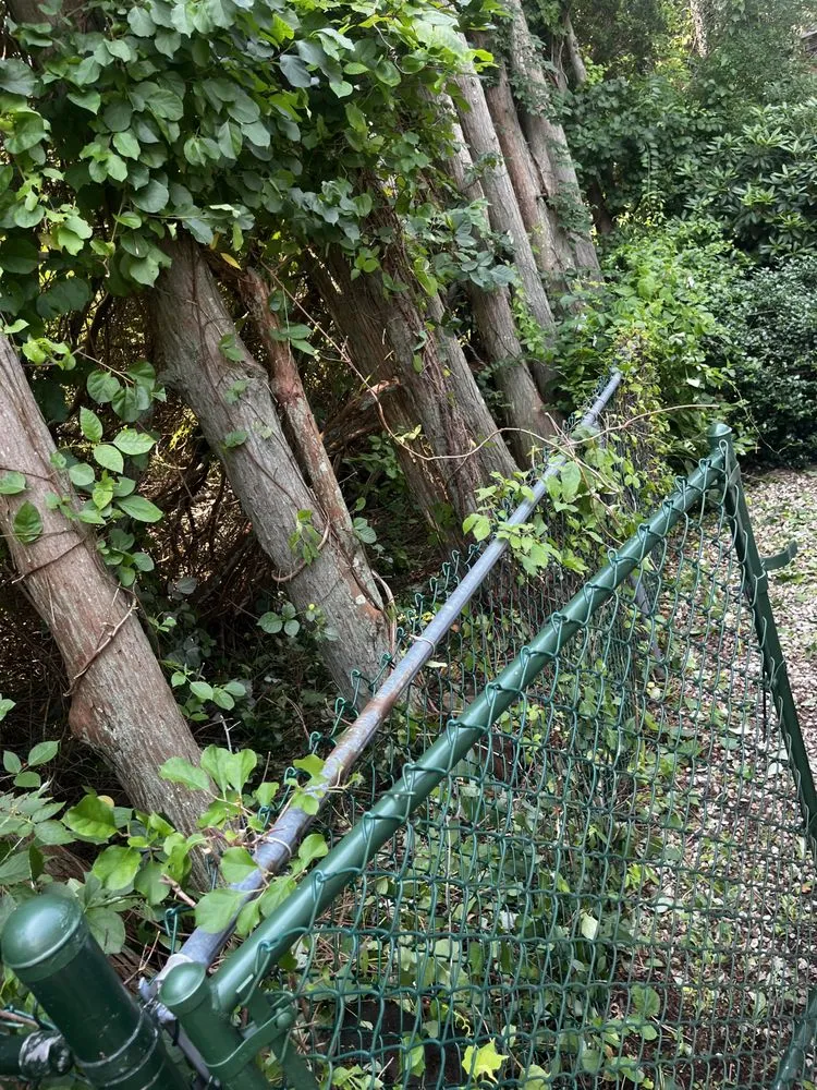 Professional lawn mowing service in New Bedford, MA by 4 Friends Landscaping