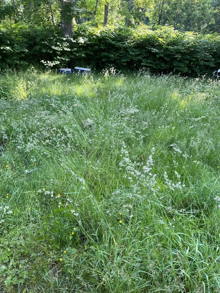 Trusted garden landscaping in New Bedford, MA - 4 Friends Landscaping