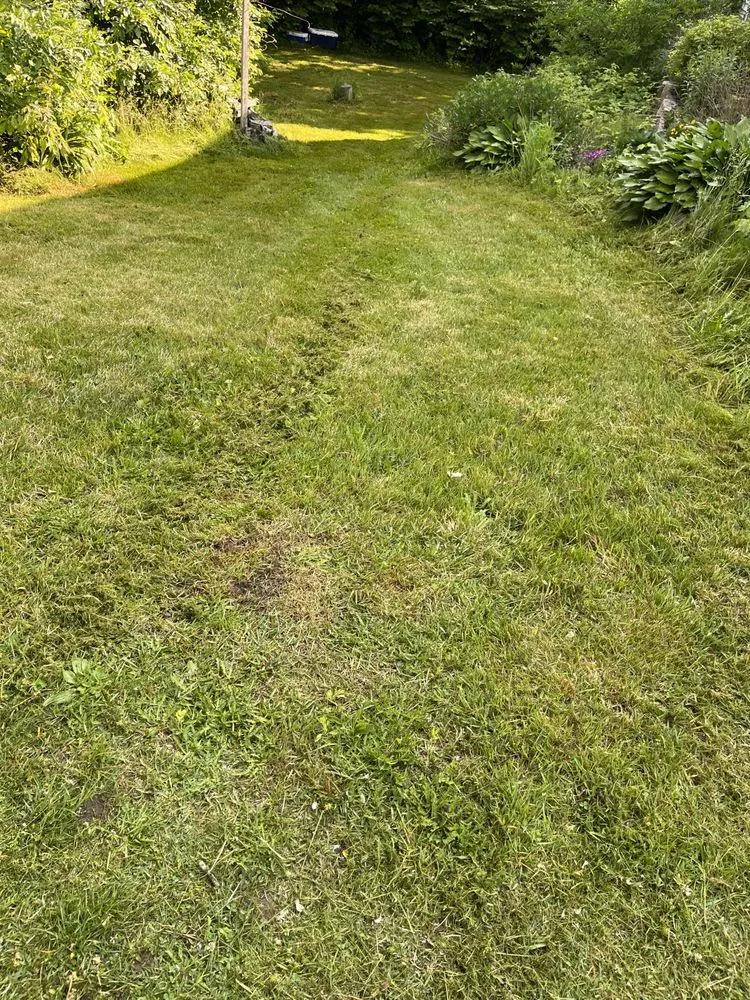 Reliable landscaping services in New Bedford, MA by 4 Friends Landscaping