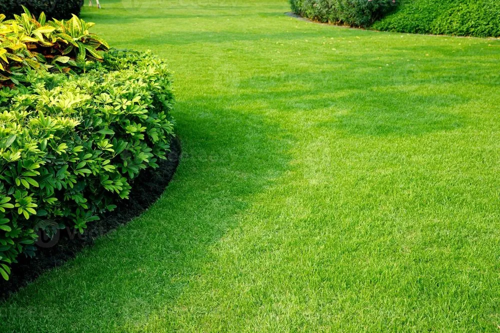 Local lawn care service in Lino Lakes, MN by 4 Guard Landscaping