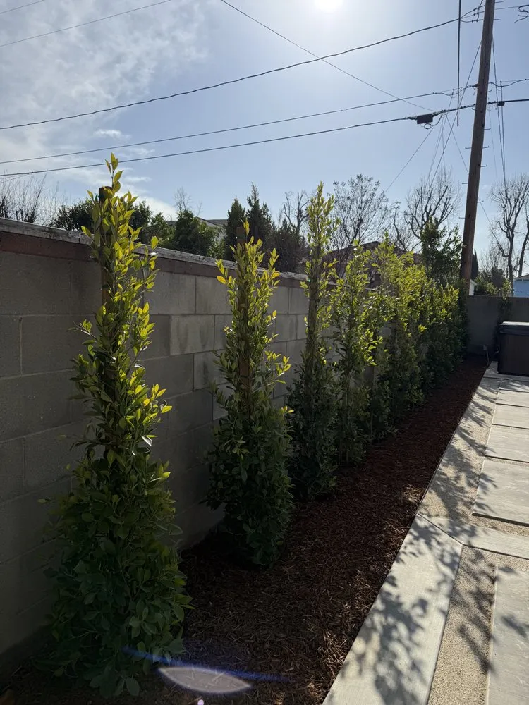 Affordable garden landscaping in El Monte, CA - 4 Lakes Landscape