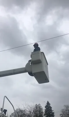 4 Lakes Tree service