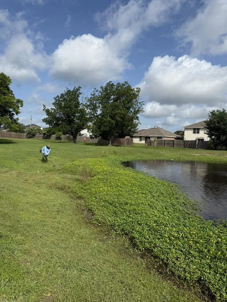 Professional yard cleanup service for homes across Fort Worth, TX - 4 Lawncare Services