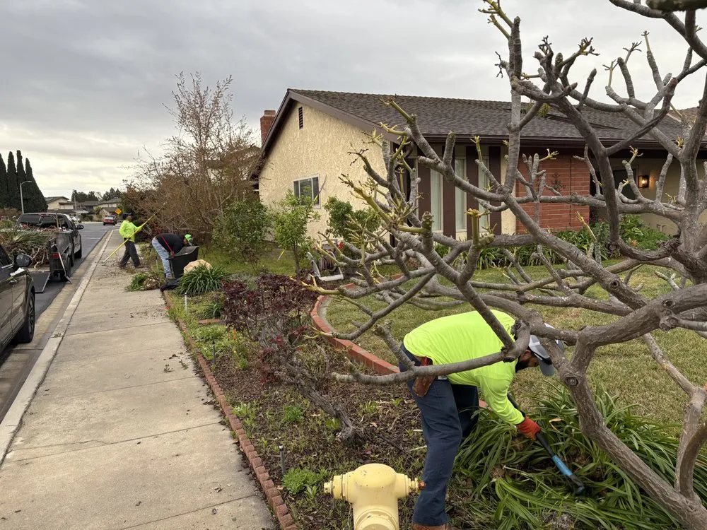 Top-rated yard maintenance experts serving Camarillo, CA - 4 Liberty Services