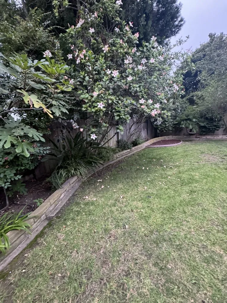 Custom landscape installation in Camarillo, CA by 4 Liberty Services