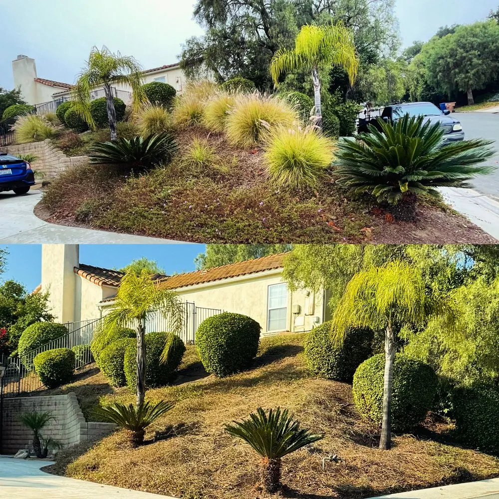 Custom lawn mowing service in Camarillo, CA - 4 Liberty Services