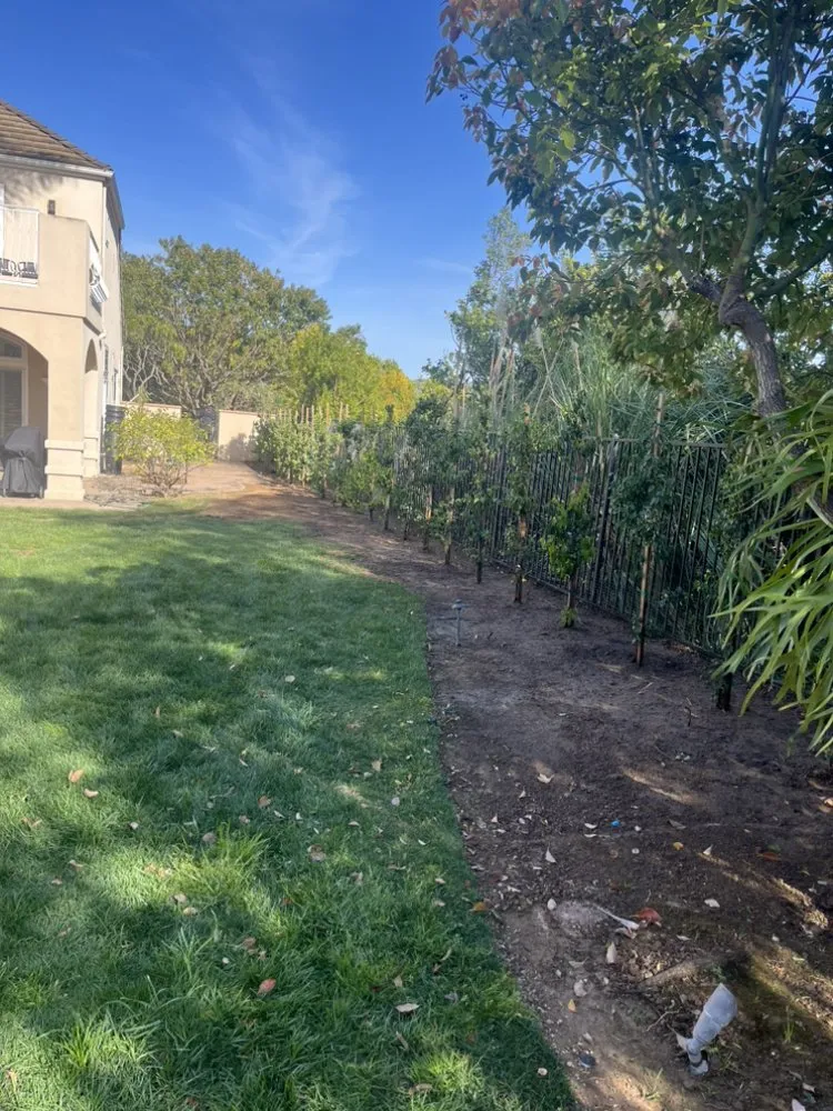 Local outdoor landscaping with custom design in Camarillo, CA by 4 Liberty Services