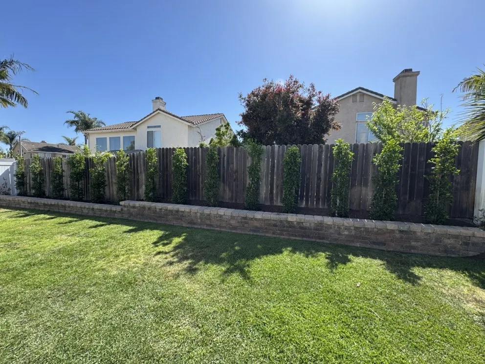 Reliable lawn mowing service experts serving Camarillo, CA - 4 Liberty Services